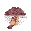 Not Today North American Eurasian Castor