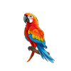 Funny Parrot Sayings