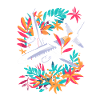 Airplane Cartoon