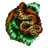 Monstera Snake