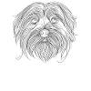 Line Art Tibetan Terrier Terriers