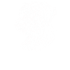 Line Art Tibetan Terrier Terriers