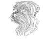 Line Art Tibetan Terrier Terriers