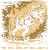 T Rex 07 2024 01