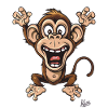 funny little happy monkey