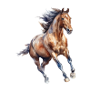 Horse Lover Elegant Horse