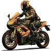 The Biker