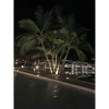 IMG 0085