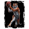 Tiger spielt Basketball Geschenk