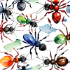Fourmis