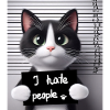 A convicted cat that didn't like people.