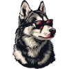 Husky dog with sunglasses