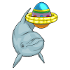 Dolphin Easter Swimming