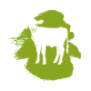 Vegan Plant-Based Meat
