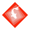 Koi Fish Fishing