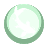Poisson Koi
