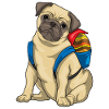 Pug Easter Student
