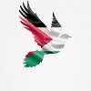 Palestine Dove