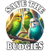 Save Budgie