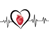 human heartbeat