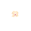 Golden Retriever Schutzengel Spruch