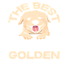 Best Therapy Golden Retriever