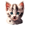 Cute little kitten