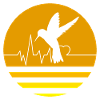 Pastel Orange Hummingbird