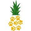 Pineapple Paw