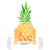 Pineapple Fitness