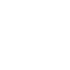 Raccoon