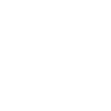 Raccoon