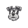 Schnauzer nain Chien Schnauzer