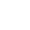 Raccoon