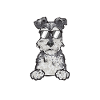 Schnauzer nain Chien Schnauzer
