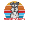 Schnauzer nain Chien Schnauzer