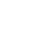 Raccoon