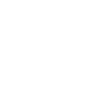 Raccoon