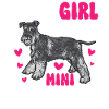 Schnauzer nain Chien Schnauzer
