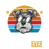 Miniature Schnauzer Dog Schnauzer