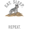 Schnauzer nain Chien Schnauzer