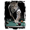 Jaguar spielt Billard Geschenk