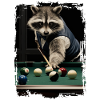 Waschbär spielt Billard Geschenk