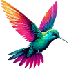 Colibri