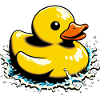 Caneton Canard Canard Canard
