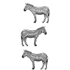 Zebras wherever I look