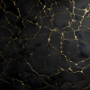Cracked texture black gold