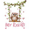Nachteule Eule Eulen Vogel