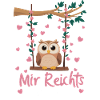 Nachteule Eule Eulen Vogel
