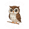 Nachteule Eule Eulen Vogel